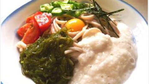 ぶっかけネバネバもちむぎ麺