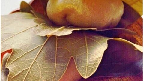 もちむぎ粉入りかしわ餅